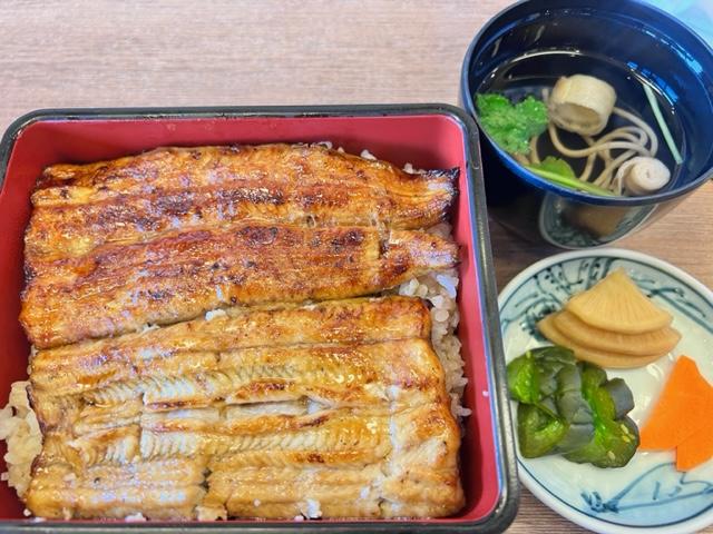 栄養たっぷりの鰻を食べに