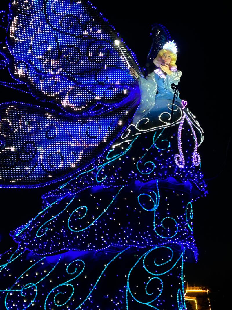 ディズニーランド