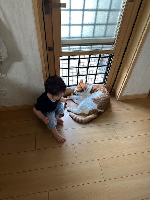 愛猫すぅーに近寄る・・！！