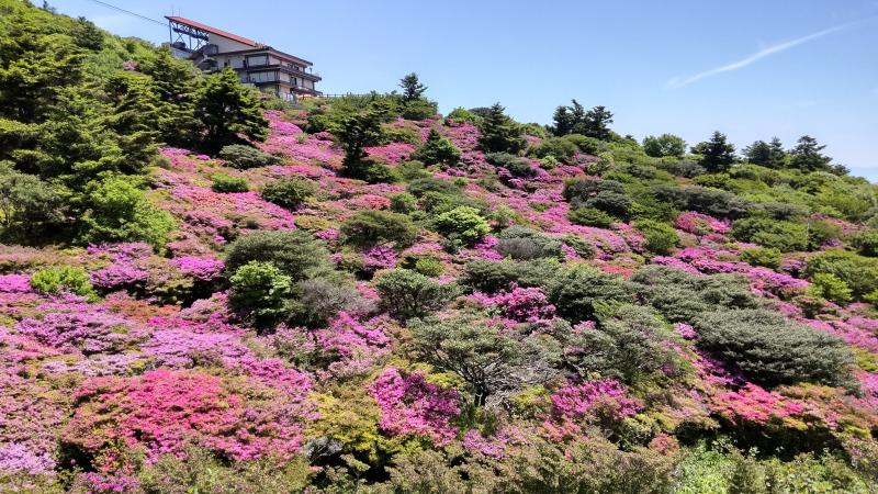 雲仙仁田峠