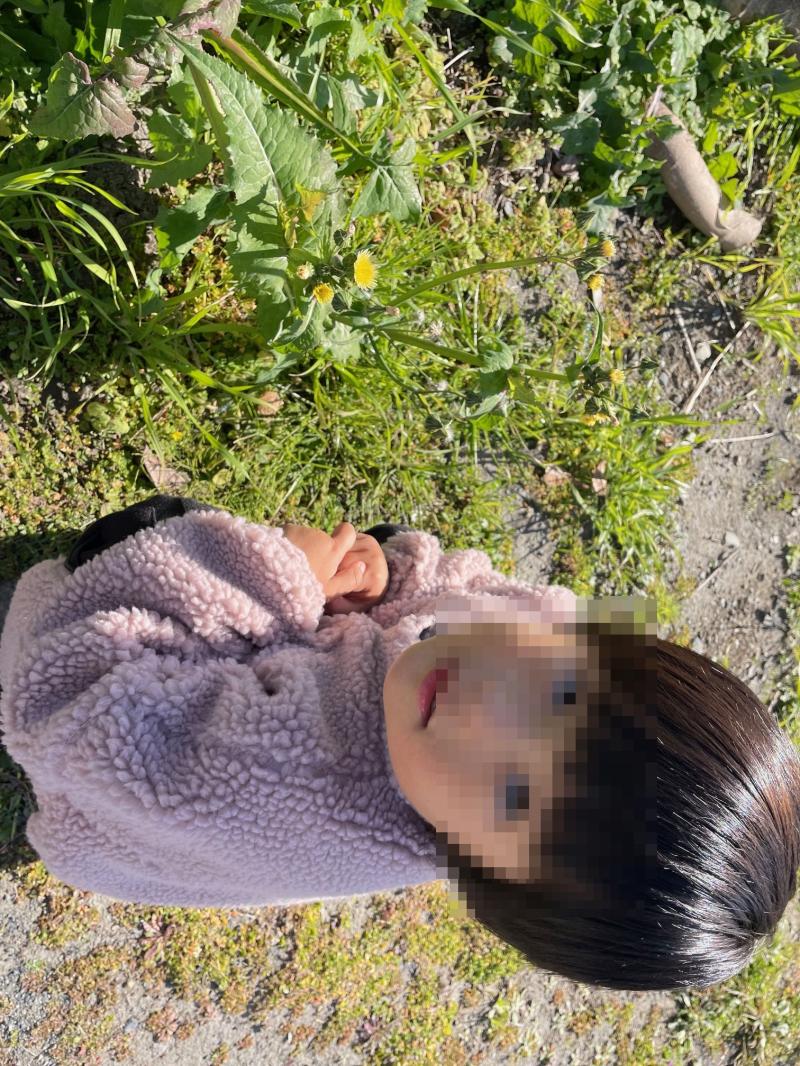 散歩