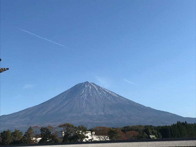 年末年始のお休み🎍