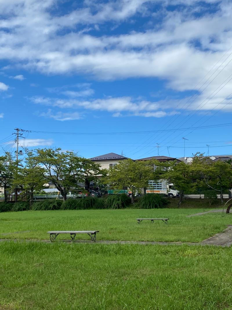 気持ちの良い金曜日