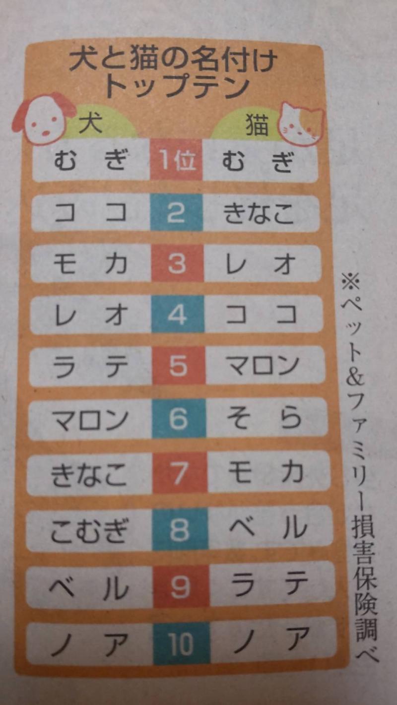 3/20(月) 卒業シーズンですね～