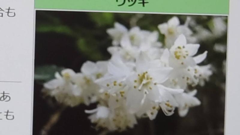4/1(土)卯月(ウヅキ)〜April