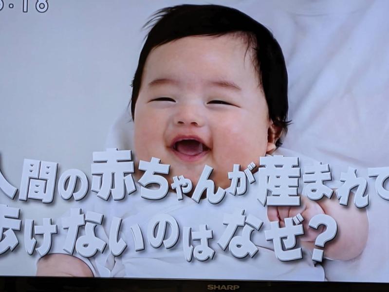 11/27日(月)チコちゃんシリーズ㊿　人間の赤ちゃんは生まれてすぐに歩かないのはなぜ?