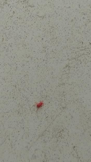 お住まいのお悩み解決します マドリエ海老名