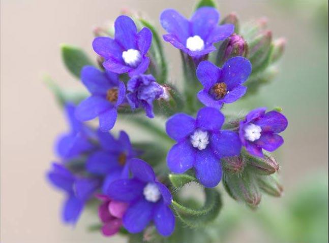 サッシ インプラスのご相談は山梨県のｌｉｘｉｌｆｃマドリエ北杜