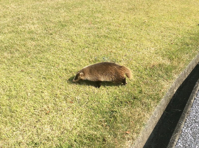 高知県のエクステリア ガーデンの外構のプランニングはｌｉｘｉｌｆｃマドリエ土佐