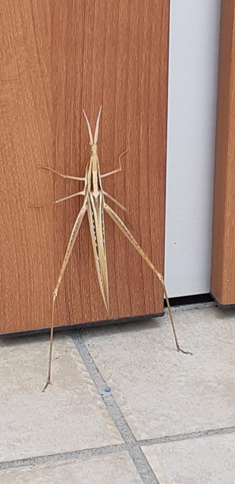 福岡市及びその近隣で省エネ住宅エコポイント対応のリクシル取付玄関ドア リシェント サッシ インプラス バスルーム キッチン トイレ 太陽光 木製建具をご提案するサイトです お見積もりは無料