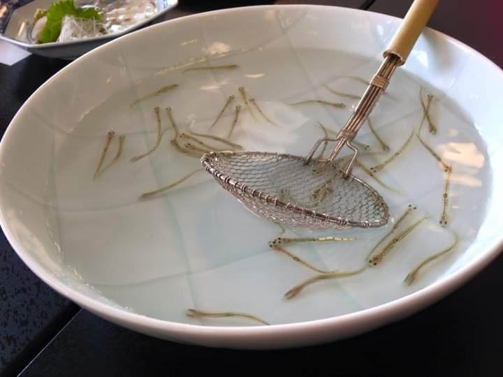 🐟博多の春の風物詩🐟