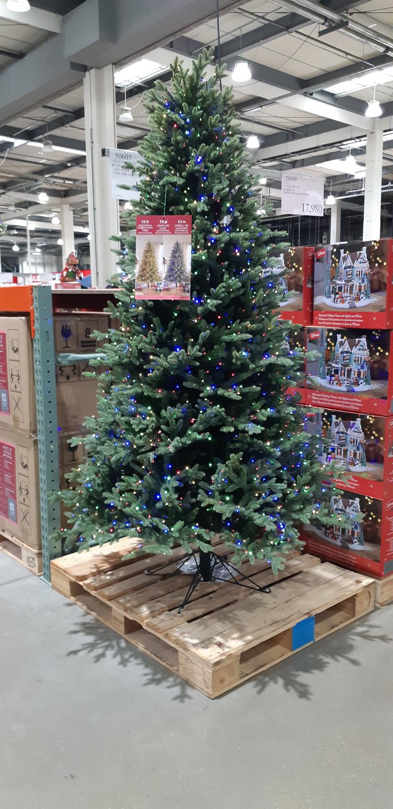 🎄まだ9月なのに・・・🎄