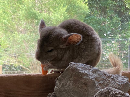 福岡市及びその近隣で省エネ住宅エコポイント対応のリクシル取付玄関ドア リシェント サッシ インプラス バスルーム キッチン トイレ 太陽光 木製建具をご提案するサイトです お見積もりは無料 福岡市及びその近隣で省エネ住宅エコポイント対応のリクシル取付玄関ドア リシェント サッシ インプラス バスルーム キッチン トイレ 太陽光 木製建具をご提案するサイトです お見積もりは無料