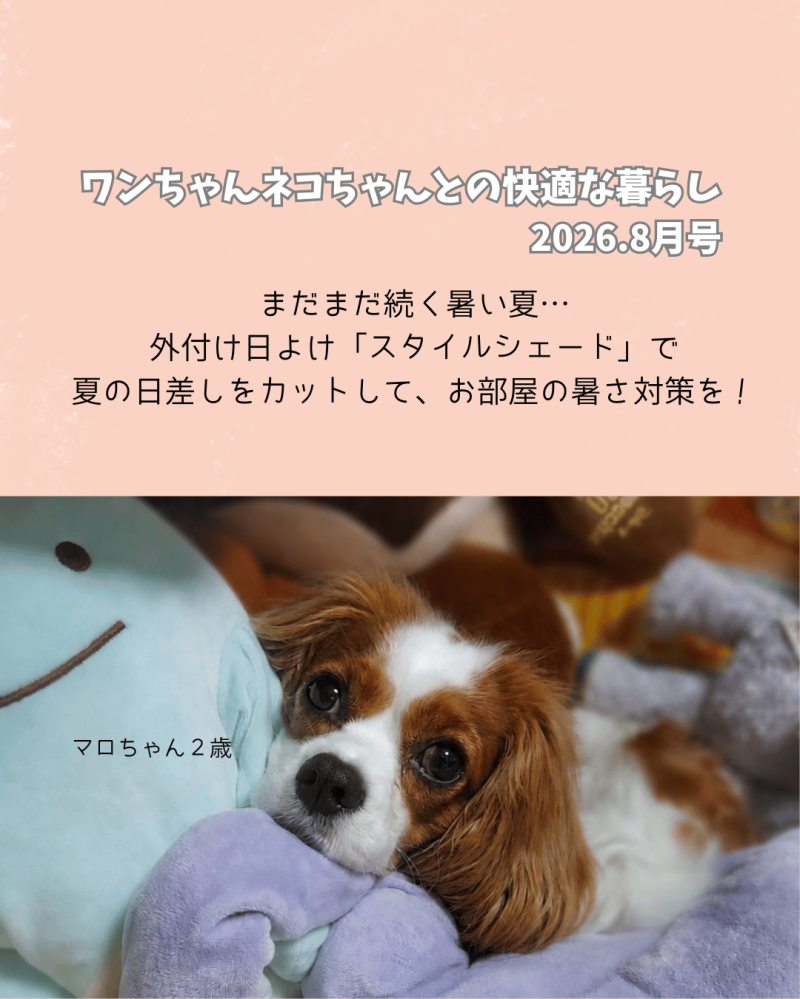 LIXIL FCマドリエNET