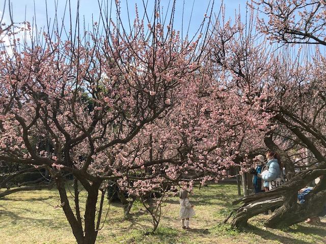 藤川天神