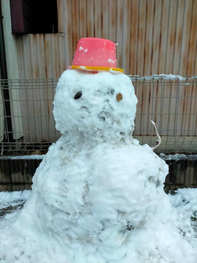 テスト