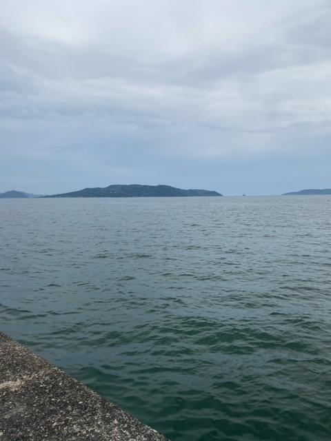 釣りに行ってきました