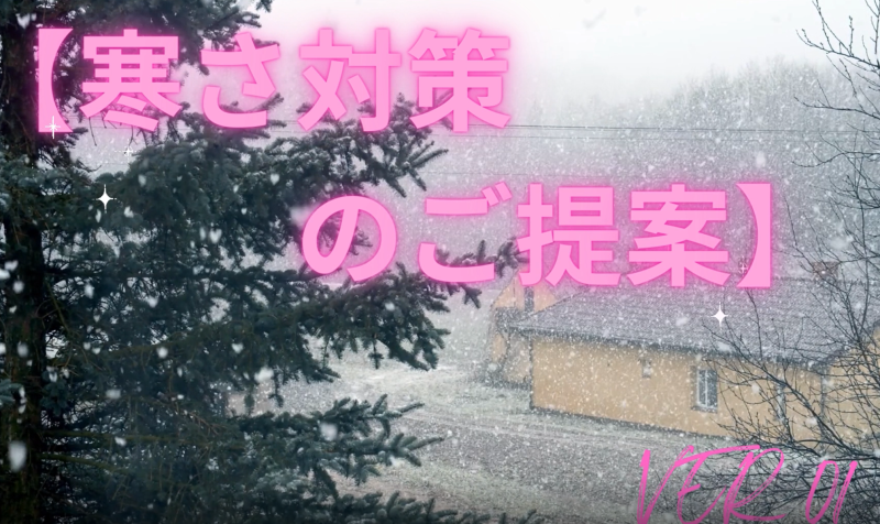 寒さ対策商品のご紹介　第１弾【内窓編】
