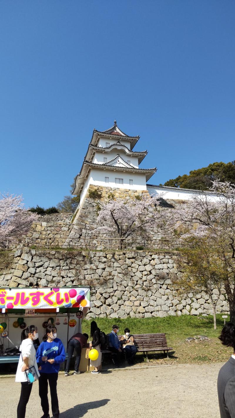 ★明石城跡　桜★