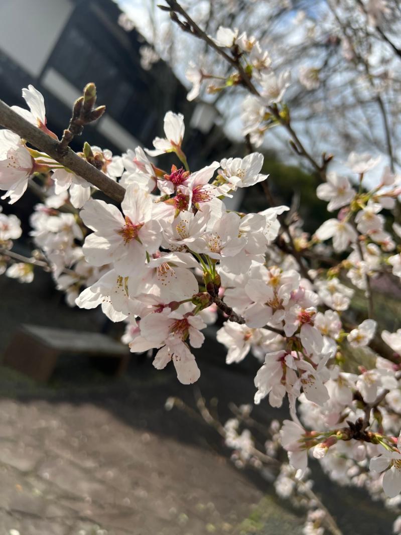花より団子かな？？？