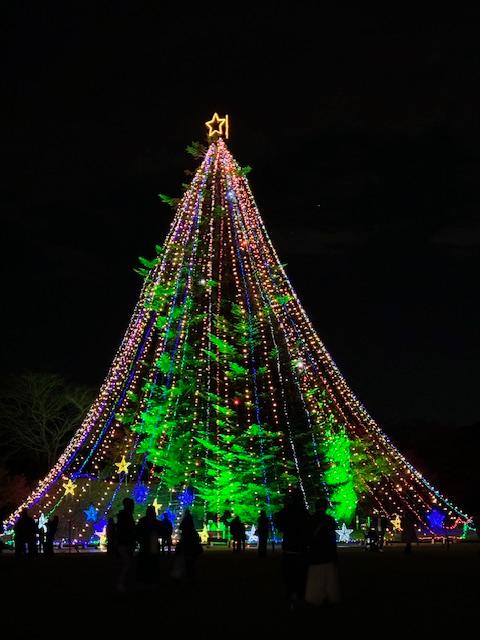 クリスマスツリー