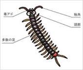 サッシ インプラスのご相談は千葉県のｌｉｘｉｌｆｃマドリエ富津