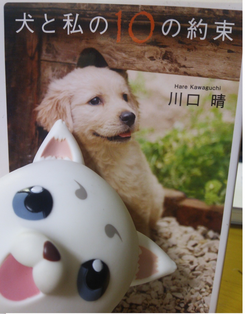 三吉硝子トーヨー住器はガラスの入替 マドのカギからリフォームまでお住まいの相談を幅広く承っております