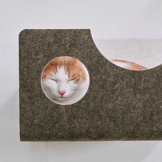 猫壁（にゃんぺき）に興味津々にゃん