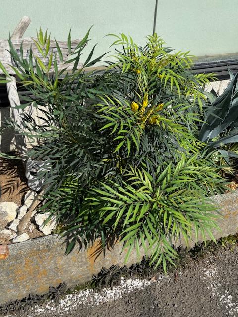 LIXIL FCマドリエNET