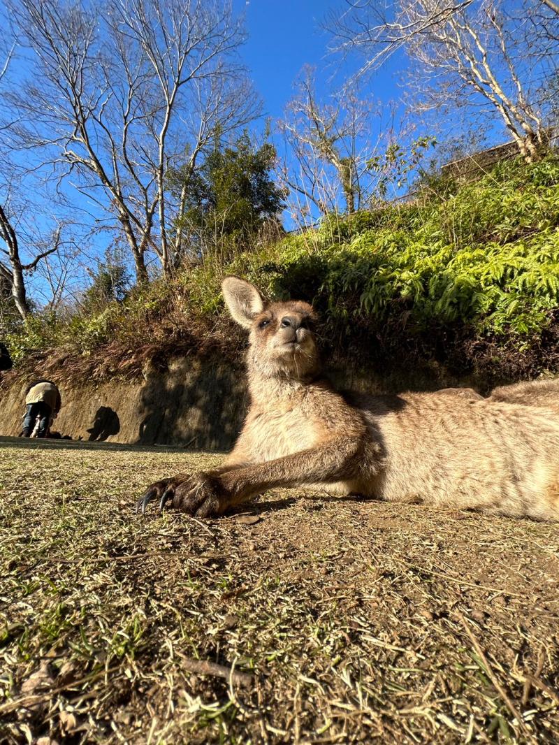 長崎バイオパーク