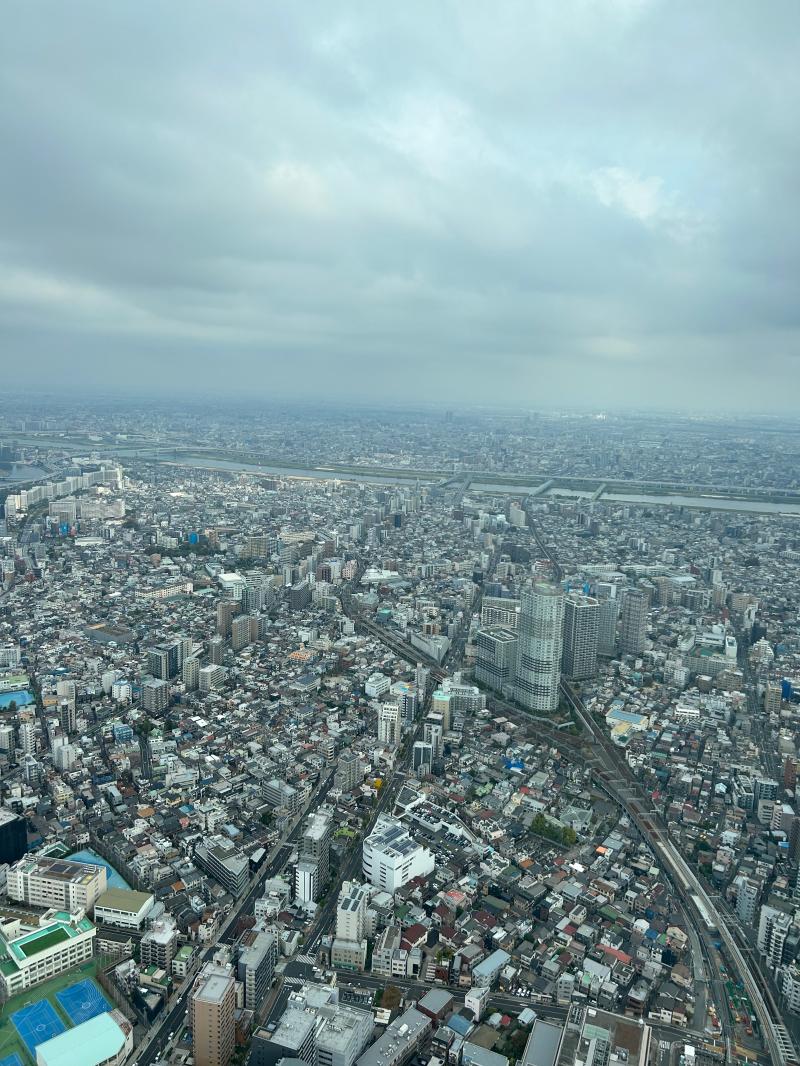 東京観光