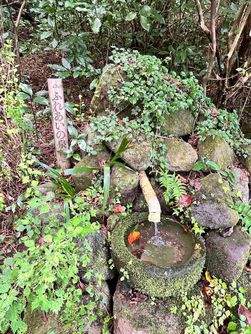 皿倉山を登ってる途中に