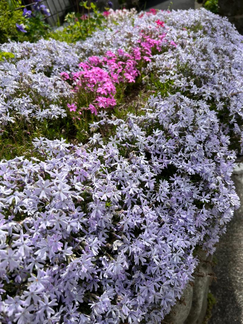 関西山旅　3日目