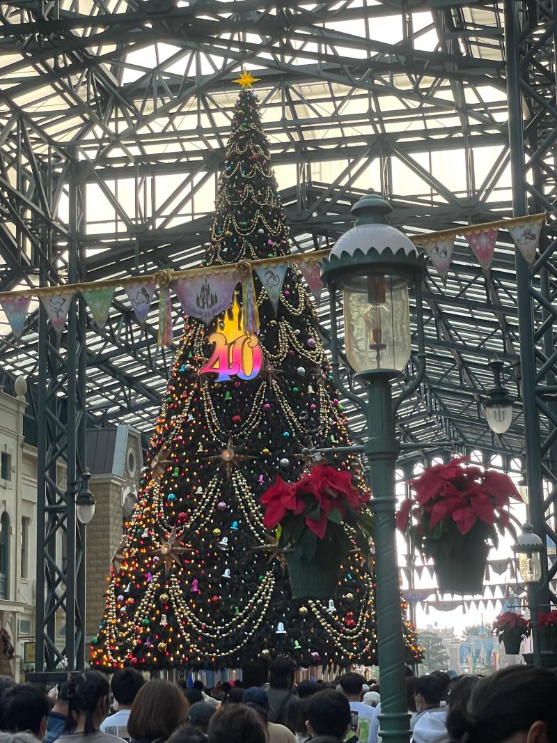 ディズニーランド　③