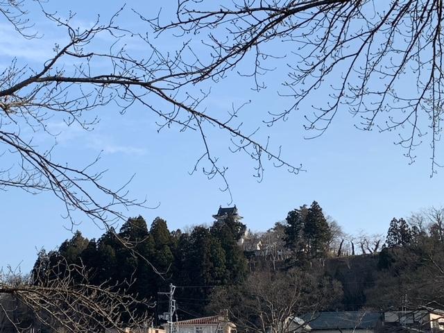 横手の桜は？