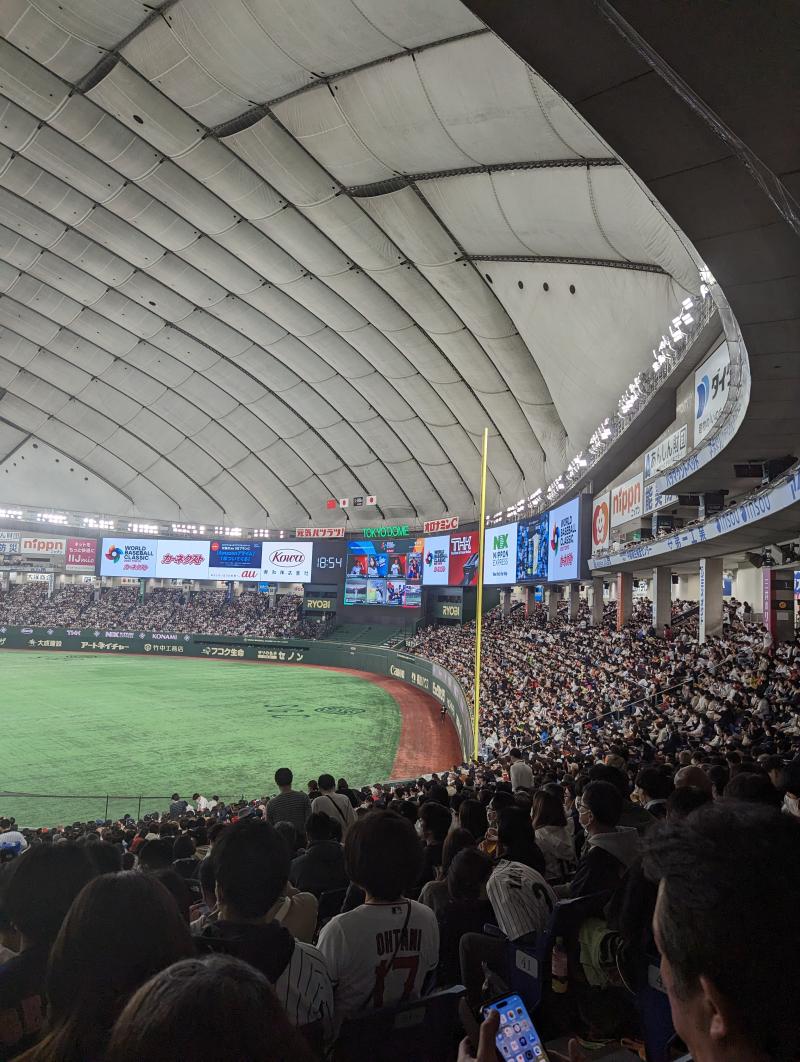 WBC　ロス