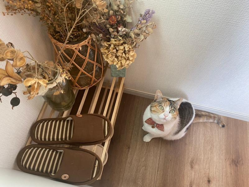 おきょめちゃん2歳！！！！