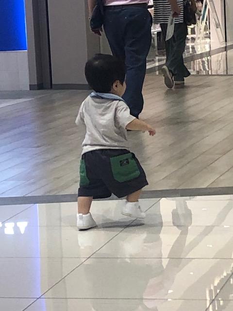 秋・・