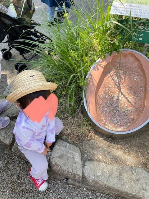 動物園にて！