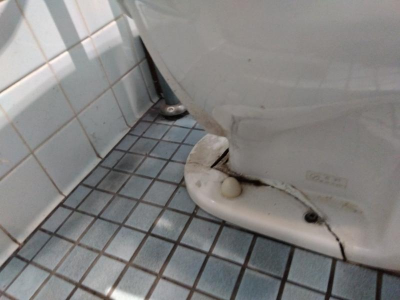 ミネトーヨー住器の【八王子市】私立大学便器交換工事の施工事例詳細写真2
