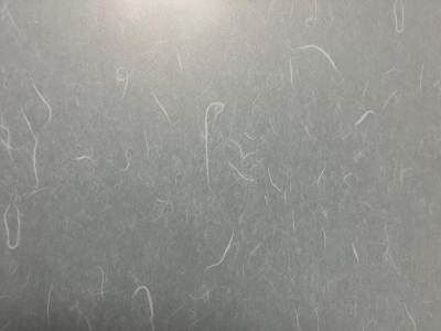 ミネトーヨー住器の【八王子市】和紙調ガラス仕様　内窓インプラス設置工事の施工事例詳細写真3