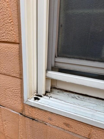 【相模原市】浴室サッシ交換、現調、打ち合わせ ミネトーヨー住器のブログ 写真2