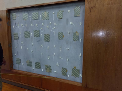 ミネトーヨー住器の【八王子市】私立大学　鏡交換工事、オペレーター交換工事の施工事例詳細写真3