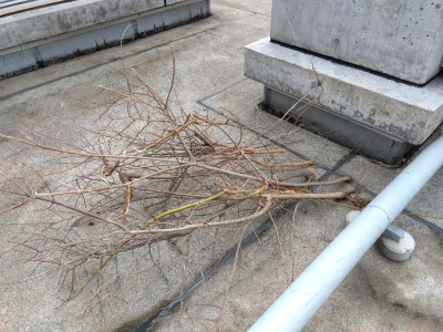 【八王子市　私立大学屋上防水工事】 ミネトーヨー住器のブログ 写真4