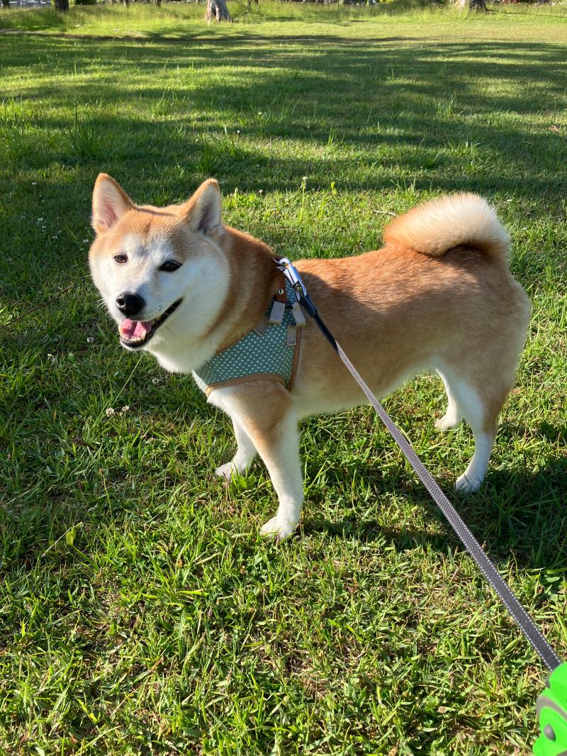 はじめまして