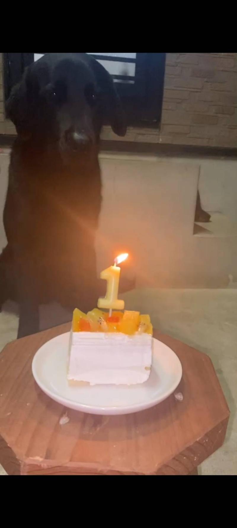ちょっと前🎂