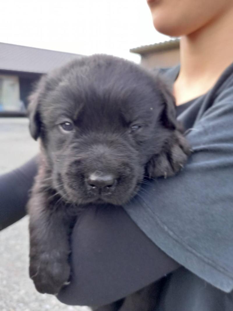 かわいい💕