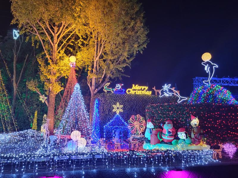 水俣芦北出水阿久根長島の住まい相談なら迅速丁寧なマドリエ水俣へ