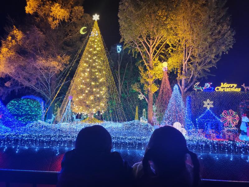 水俣芦北出水阿久根長島の住まい相談なら迅速丁寧なマドリエ水俣へ
