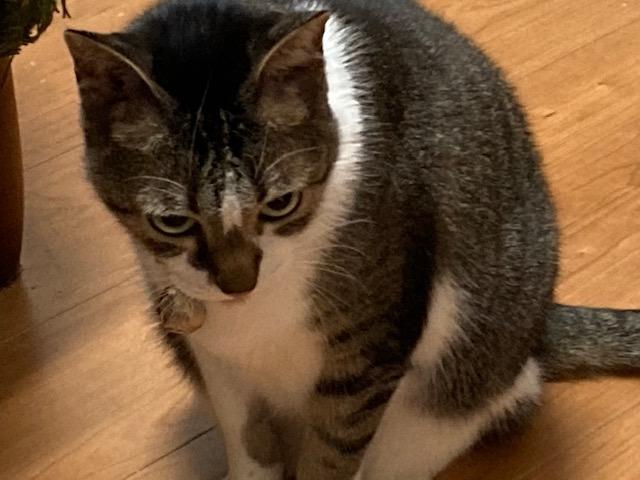 ウォーキング日記　清水
